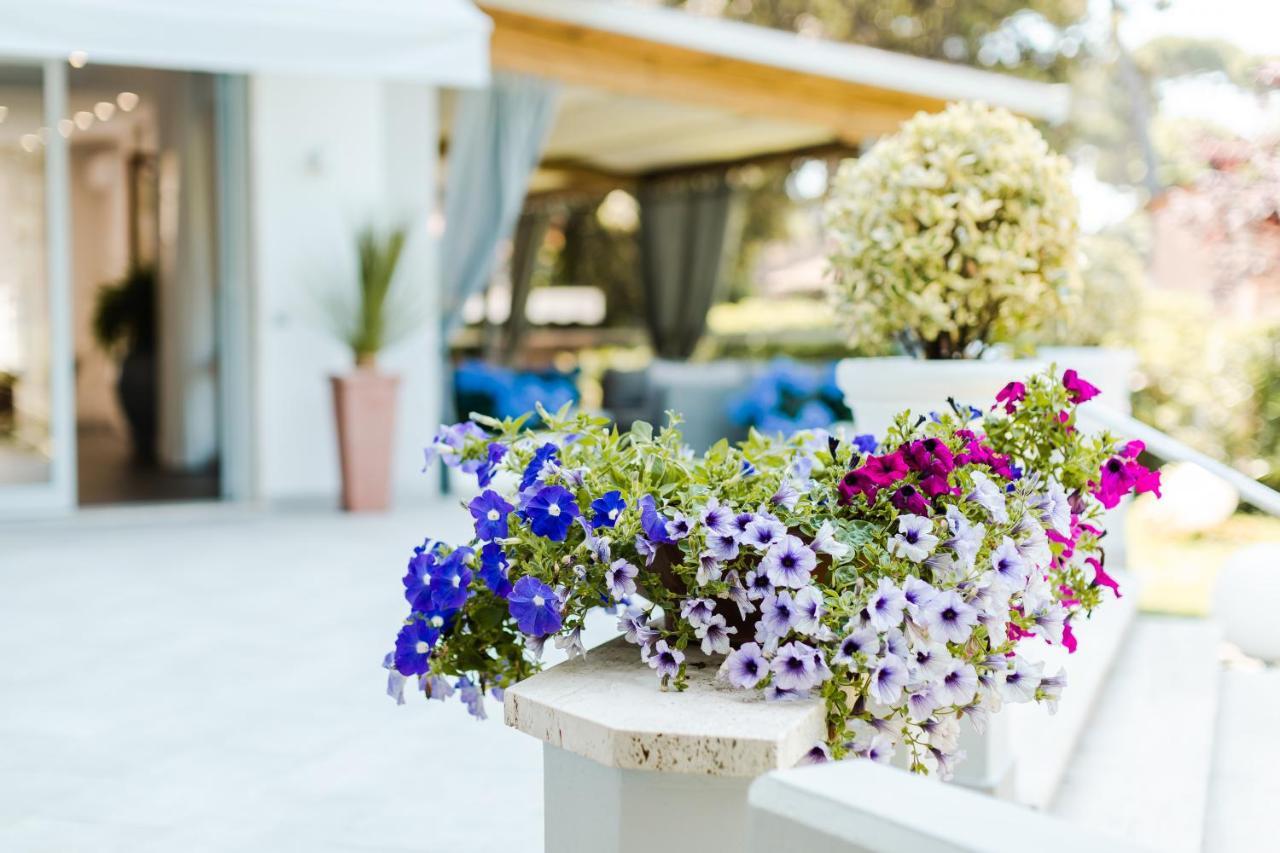 Park Hotel Giusy Lido di Camaiore Dış mekan fotoğraf