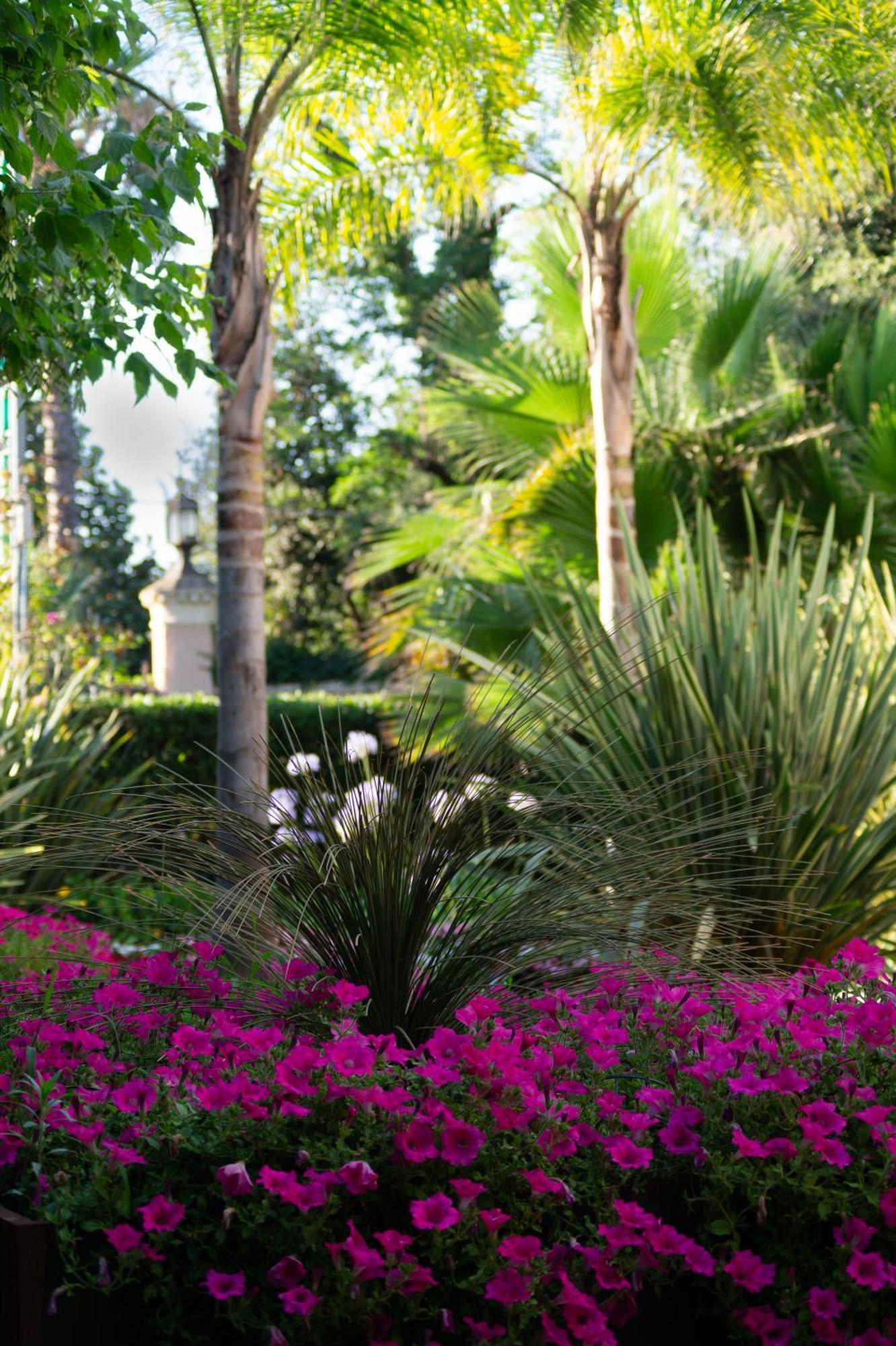 Park Hotel Giusy Lido di Camaiore Dış mekan fotoğraf